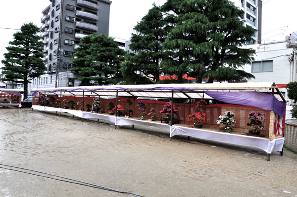 park 足下が悪くゆっくり見る気になれませんでした