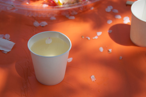 hanami01