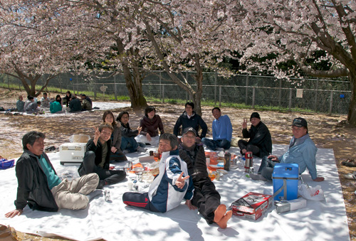 hanami03