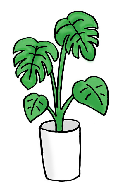 monstera モンステライラスト無料ダウンロード