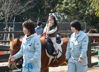 対州馬乗馬体験：森きらら／佐世保市