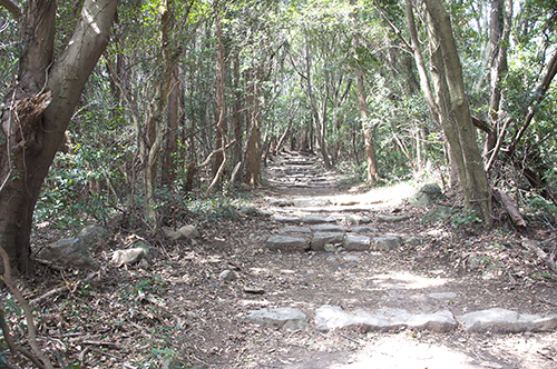 石岳登山道