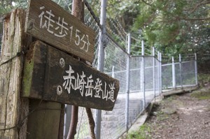 赤崎岳登山道