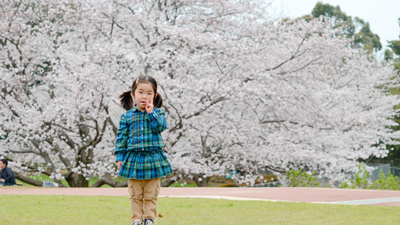 hanami